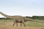 Otkriveni fosil dinosaurusa star 98 miliona godina možda pripada najvećem stvorenju koje je svetom hodalo