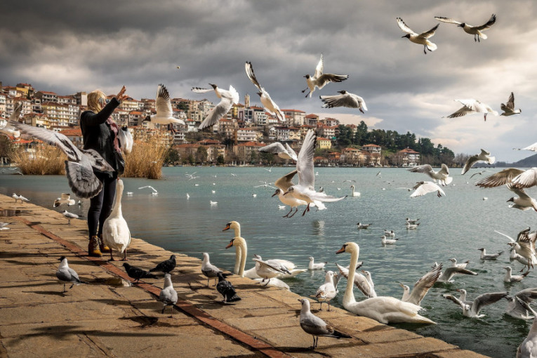 Ptičji grip tiho hara Evropom: U Crnoj Gori nije alarmantno, u Francuskoj
