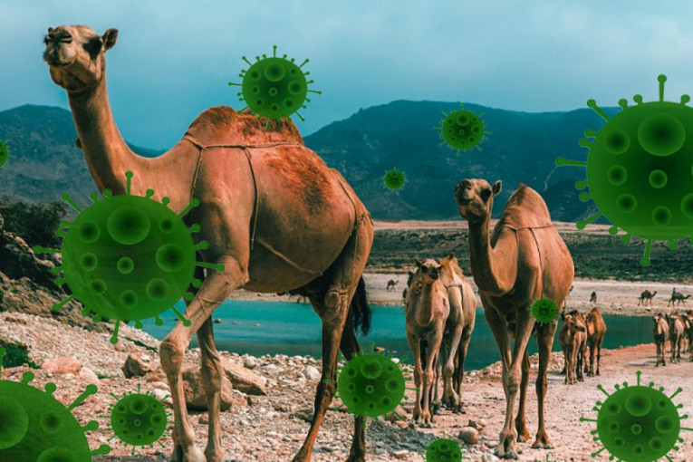 Afrika je tempirana bomba nove pandemije: Ovaj koronavirus je 10 puta smrtonosniji od kovida 19
