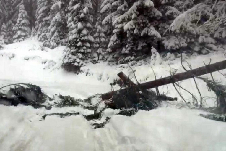 Sneg napravio kolaps u selima oko Priboja i Nove Varoši: Više od 1.000 domaćinstava bez struje, teško prohodni putevi