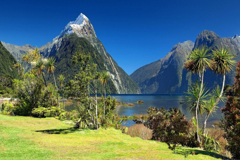 Novi Zeland poručuje turistima: Ne imitirajte druge osobe prilikom fotografisanja