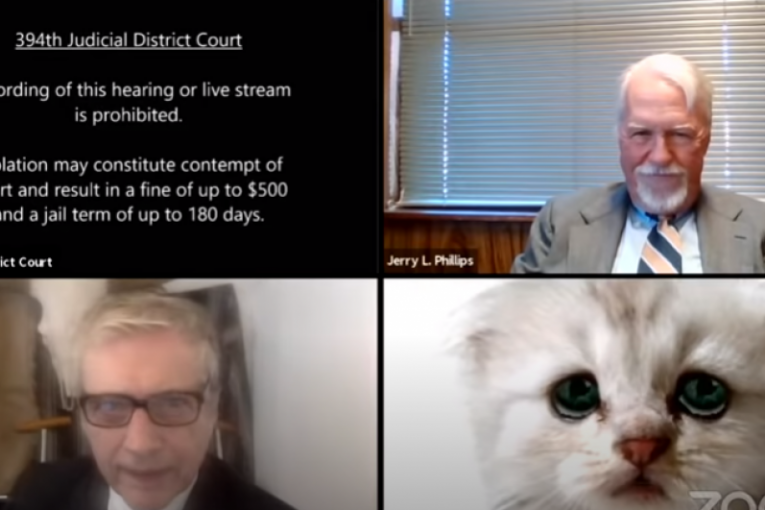 "Ja nisam mačka": Advokat tokom onlajn sastanka sa kolegama nije umeo da isključi filter, sad ceo svet priča o njemu (VIDEO)