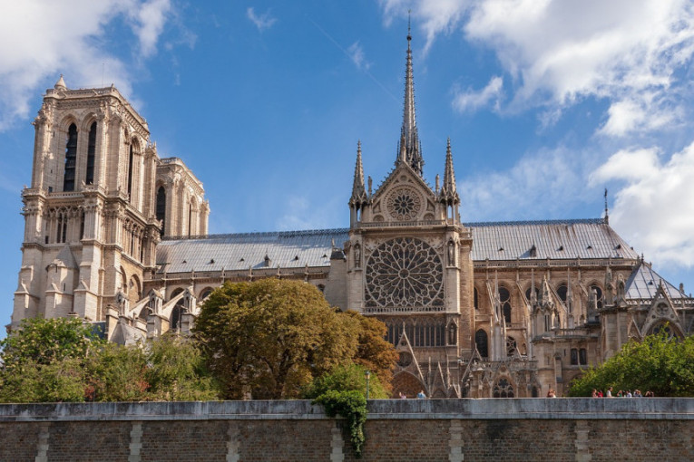 Francuska traži 200 godina stare hrastove za obnovu Notr Dama