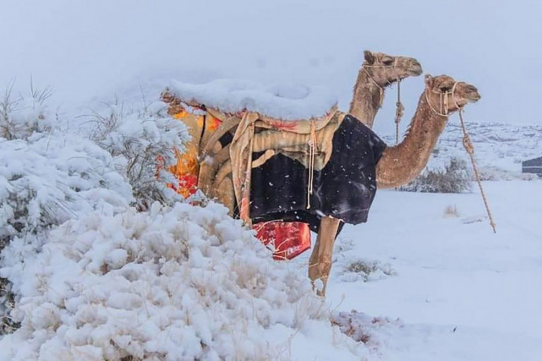 Posle 50 godina pao sneg u Saudijskoj Arabiji: Pustinje zavejane, na internetu osvanuli neverovatni prizori (FOTO+VIDEO)