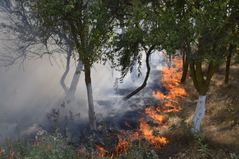 Bukti na Mokroj Gori: Vatrogasci uspostavljaju protivpožarne puteve, domaćinstva nisu ugrožena