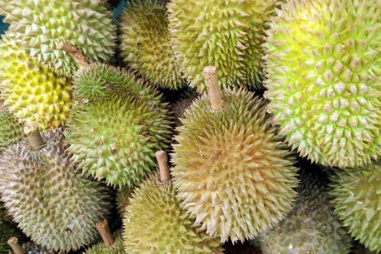 Durijan, voće koje je zabranjeno u javnom prevozu u jugoistočnoj Aziji