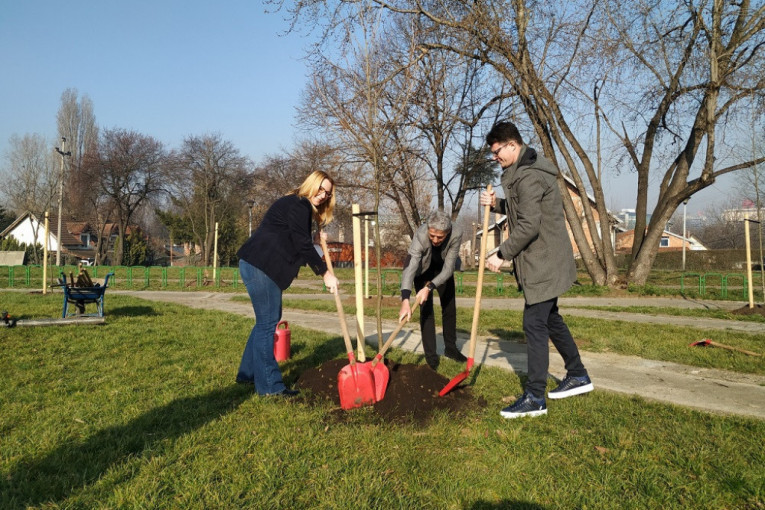 Akcija "Drvo za Beograd" u Brodarskoj ulici: Posađeno novih 95 sadnica javora