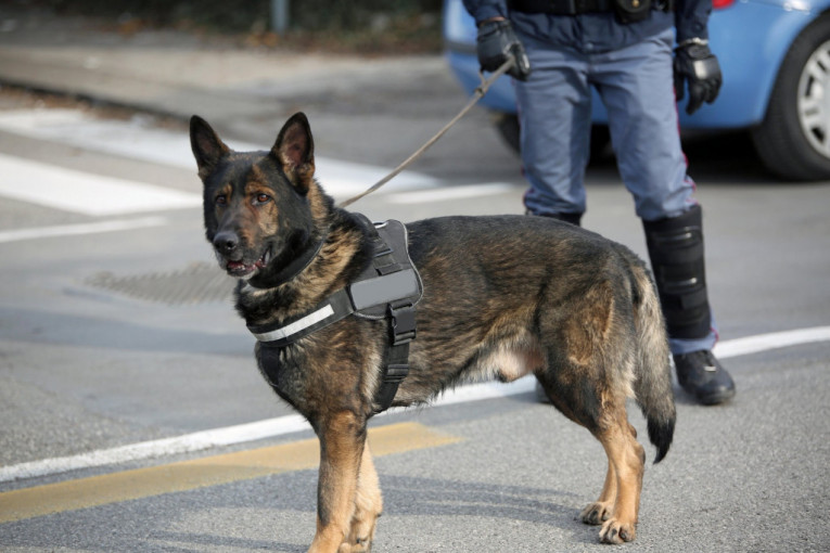 Policijski psi zalajali na Srbina i Hrvata na trgu, a onda je otkriveno šta su krili u "audiju"!