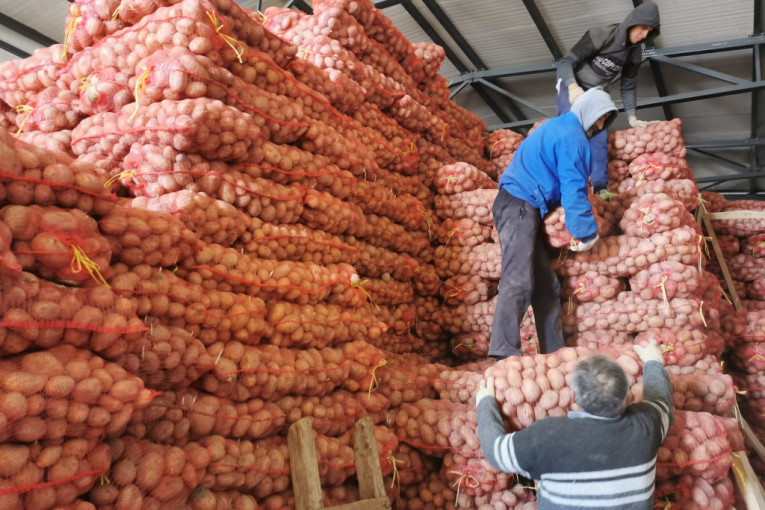 Domaći marketi u narednih 15 dana otkupiće velike količine krompira: Branko sa Zlatara objašnjava zašto je to važno (FOTO+VIDEO)