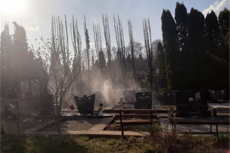 Požar na gradskom groblju u Čačku uoči Zadušnica: Zapalile se tuje, vetar rasplamsao vatru (FOTO)