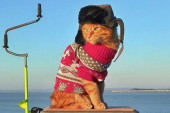 Simba nosi šubaru i crveni džemper, ide na pecanje i polako postaje najpoznatiji ruski mačor