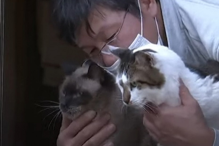 Sakae Kato spasava napuštene mačke u Fukušimi: „Kad se pobrinem za poslednju, mogu da umrem“