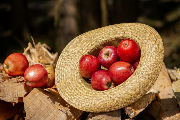 Zdrava a domaća: Nova sorta jabuke „ivana“ podnosi 10 puta manje prskanja