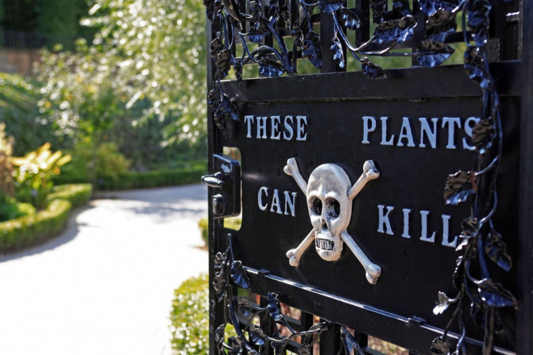 Vrt Alnvik: Na ulazu reči upozorenja „Ove biljke mogu da ubiju“, a u bašti preko 100 botaničkih otrova i opojnih sredstava