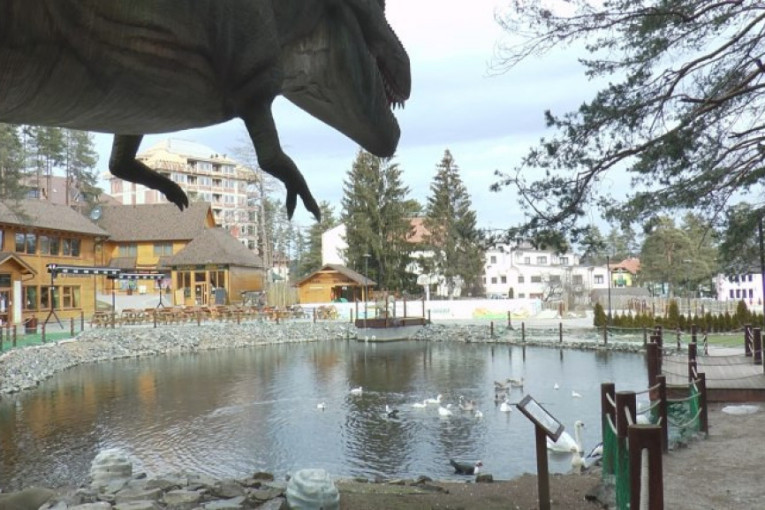 Srpska planina idealna destinacija za odmor zajedno sa kućnim ljubimcima: Sve više "pet frendli" objekata na Zlatiboru