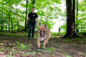 Misteriozna smrt devojke kod Koceljeve: Telo žene naslonjeno na drvo otkrili lovački psi