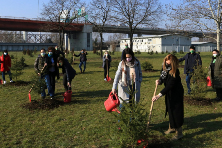 Akcija "Drvo za Beograd" u Parku Republike Srpske: Posađeno 19 sadnica smrče