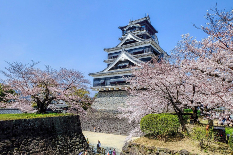 Sakura, simbol Japana: Posmatranje rascvetalih trešanja je deo japanske filozofije „da je život lep ali kratak“