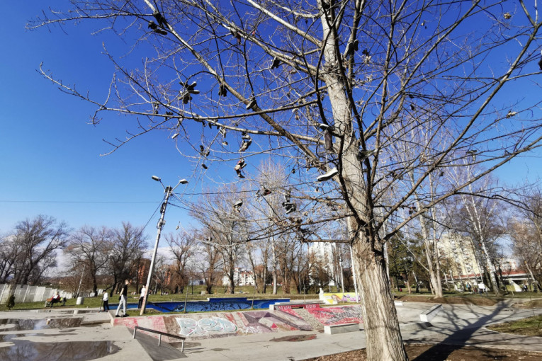 Nesvakidašnji prizor na drvetu u čačanskom parku: Patike vise na granama, otkrivena i simbolika
