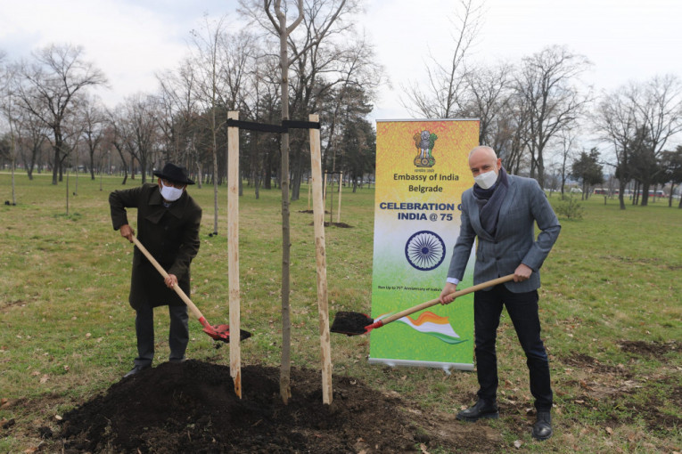 Nastavljena akcija "Drvo za Beograd": Radojičić i ambasador Indije posadili 25 stabala u parku "Ušće"