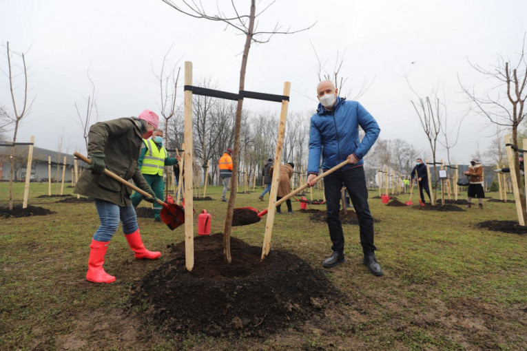 Drvo za Beograd: Radojičić i britanska ambasadorka posadili 189 novih stabala