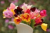 Pet saveta profesionalaca uz koje će vam cveće u vazi duže trajati