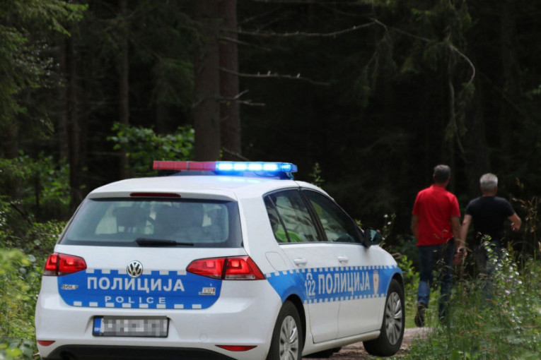 Strava i užas u Kuršumliji: Tinejdžer (18) ubio psa, da se osveti mladiću s kojim se posvađao!