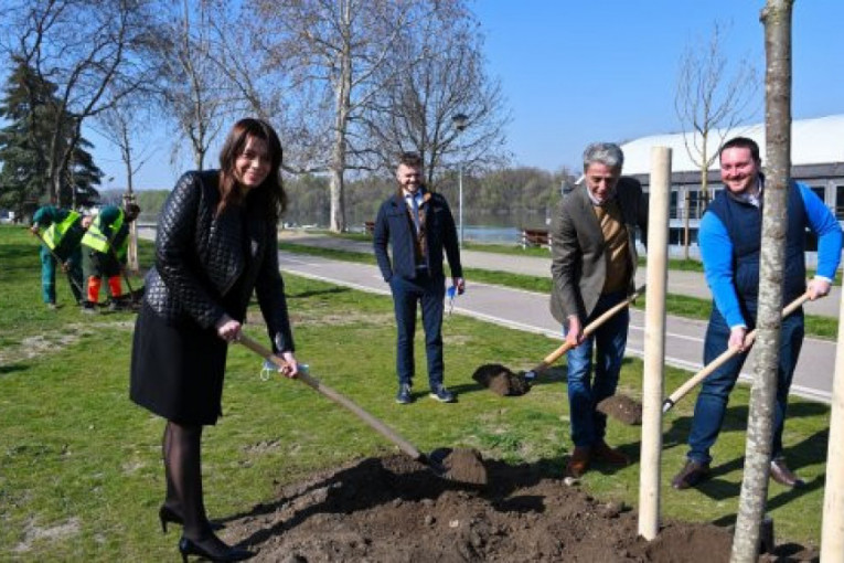 Ministarka Vujović zasadila prve sadnice u opštini Stari grad: Ozelenjavanje gradskih zona značajno za kvalitet vazduha (FOTO)