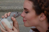 Devojka čuva pet pacova, a njena priča ruši sve predrasude o ovim emotivnim životinjama (VIDEO)