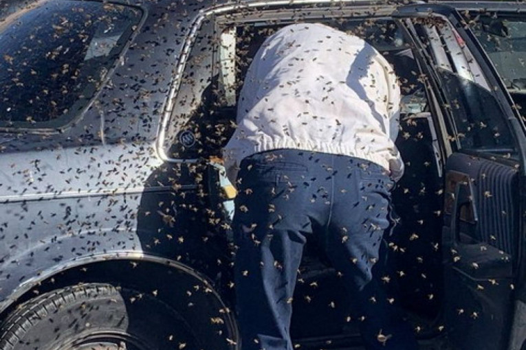 Otišao do prodavnice, posle 10 minuta u autu zatekao više od 15.000 pčela