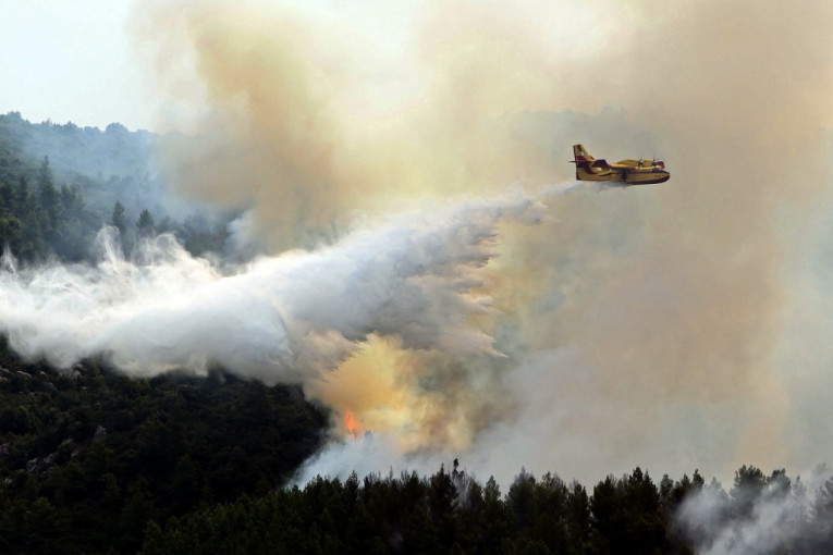 Požar na Svetoj gori: Gore maslinjaci, jak vetar zadaje muke (VIDEO, FOTO)