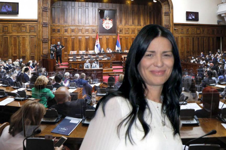 Zakazana rasprava o izboru Jasmine Vasović za predsednicu Vrhovnog kasacionog suda