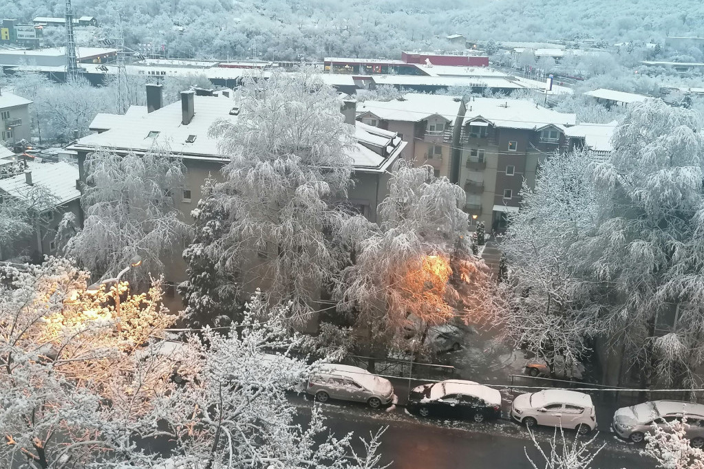 April u Beogradu: Proleće na čekanju, sneg prekrio krovove i drveće (FOTO, VIDEO)