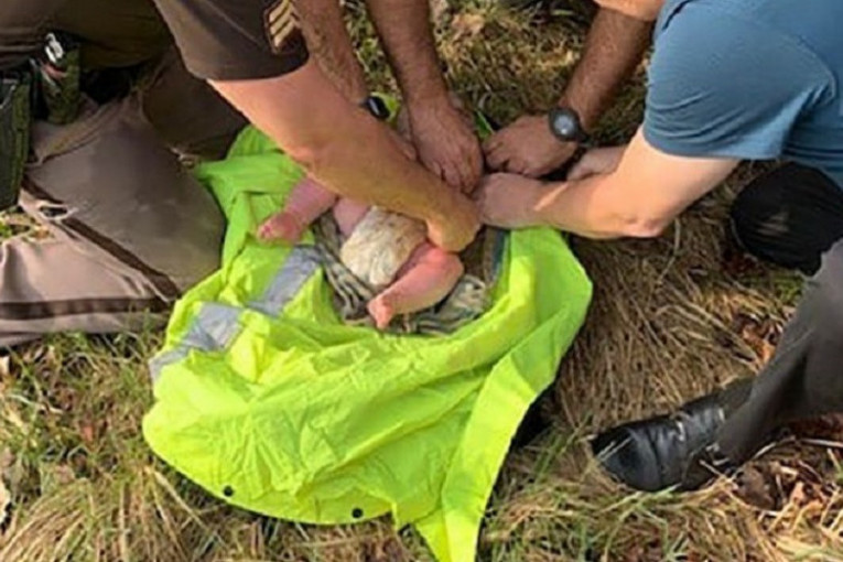 Promrzla beba pronađena u šumi na obali jezera: Policajci je odmah poslali u bolnicu, majku prijavile komšije