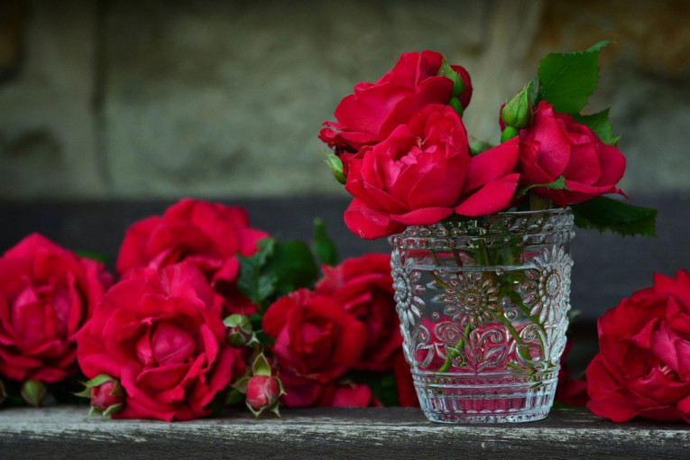Ruže i sujeverje: Na grobu se sade crvene ruže, a poklanjaju isključivo njeni pupoljci