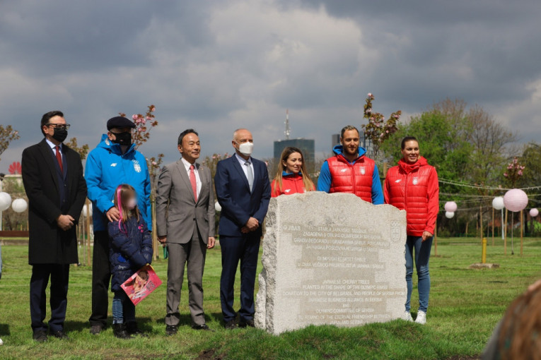 Simbol prijateljstva dva naroda - park japanskih trešanja u Beogradu u čast Olimpijadi