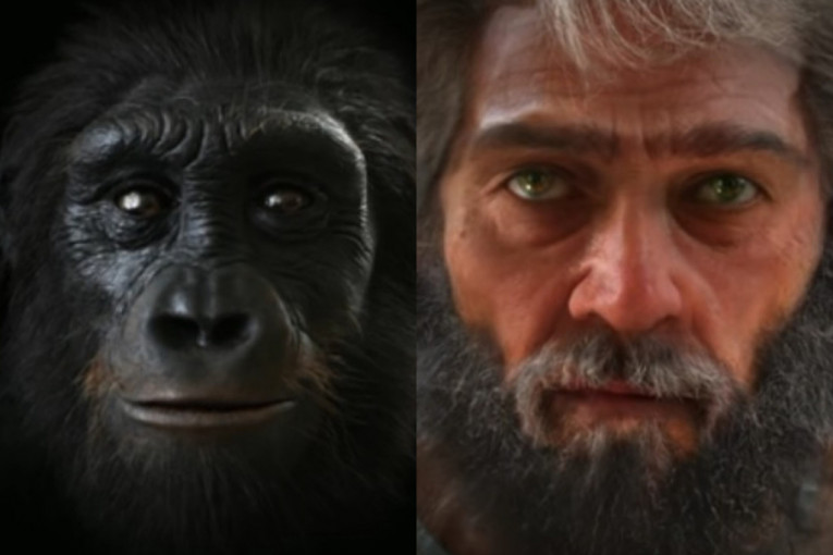 Evolucija lica od nastanka sveta do danas – koža je postajala sve mekša i nežnija (VIDEO)