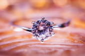 Jedan je malo, pet je prava mera: Momak dao da devojka sama izabere verenički prsten od pet ponuđenih