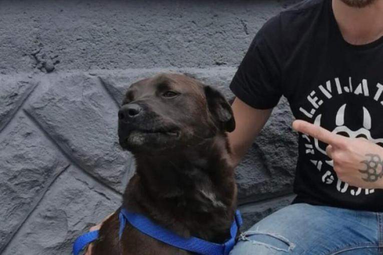 Ovo je kuca koju je izujedao pomahnitali čovek u Surčinu