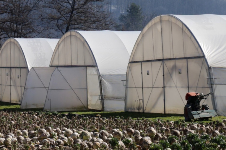 U Topoli znaju u šta vredi ulagati: Rekordne subvencije za poljoprivredu
