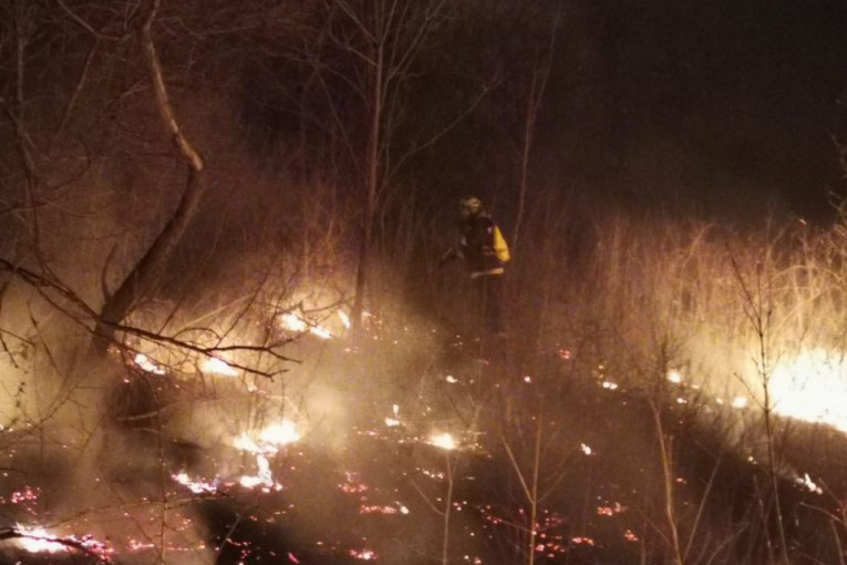 Ugašen požar na Zlatiboru: Vatrena stihija progutala tri hektara šume!