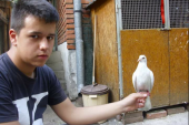 Luka (19) u beogradskoj "džungli" uzgaja golubove: Ljubav prema nesvakidašnjem hobiju nasledio je od dede  (FOTO)