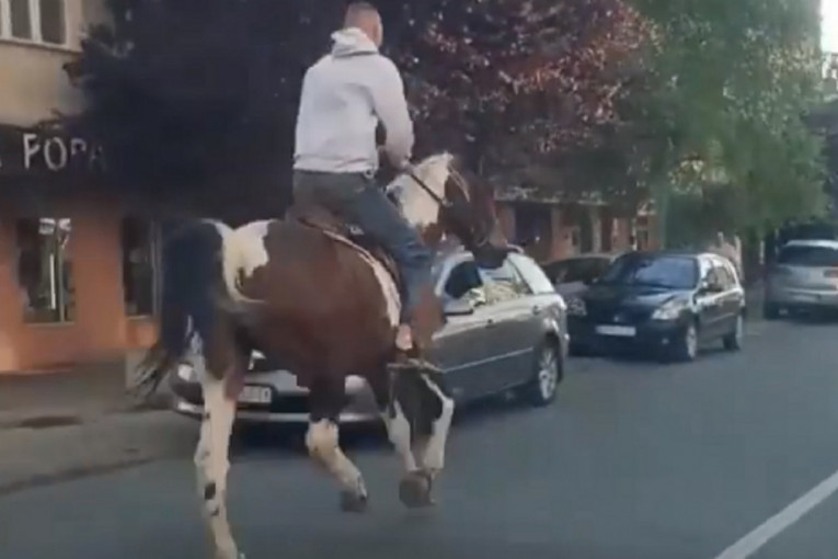"Princ od Ceraka": Beograđanin na konju dojahao u prodavnicu (VIDEO)