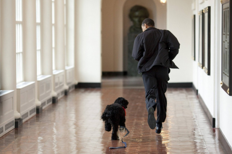 Uginuo pas Baraka Obame: "Rekli smo zbogom našem najboljem prijatelju"