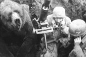 Čudesni život medveda Vojteka: Od siročeta do heroja rata