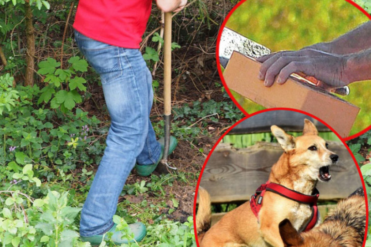 Novi detalji zločina u Pančevu: Rumunki glavu smrskali ciglom zbog fakture, pas lajao do zore