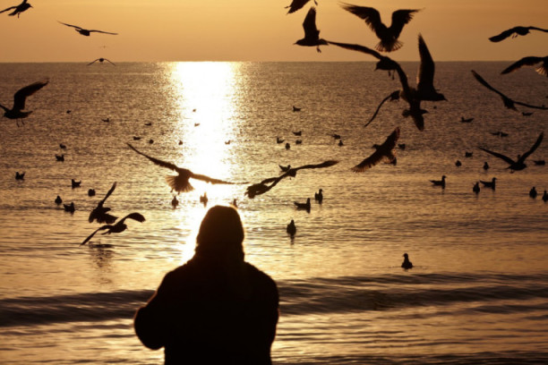 Sablasni nagoveštaj smrti misteriozne književnice: Kako znamo da je Elena Ferante živa?