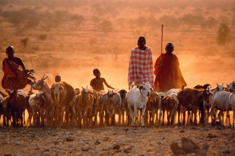 Simbol istočne Afrike! Pleme Masai: Neobičan narod sa još neobičnijom kulturom