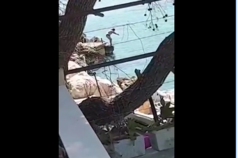 "Felps na aparatima": Snimak Dalmatinke koja skače u more oborio internet (VIDEO)