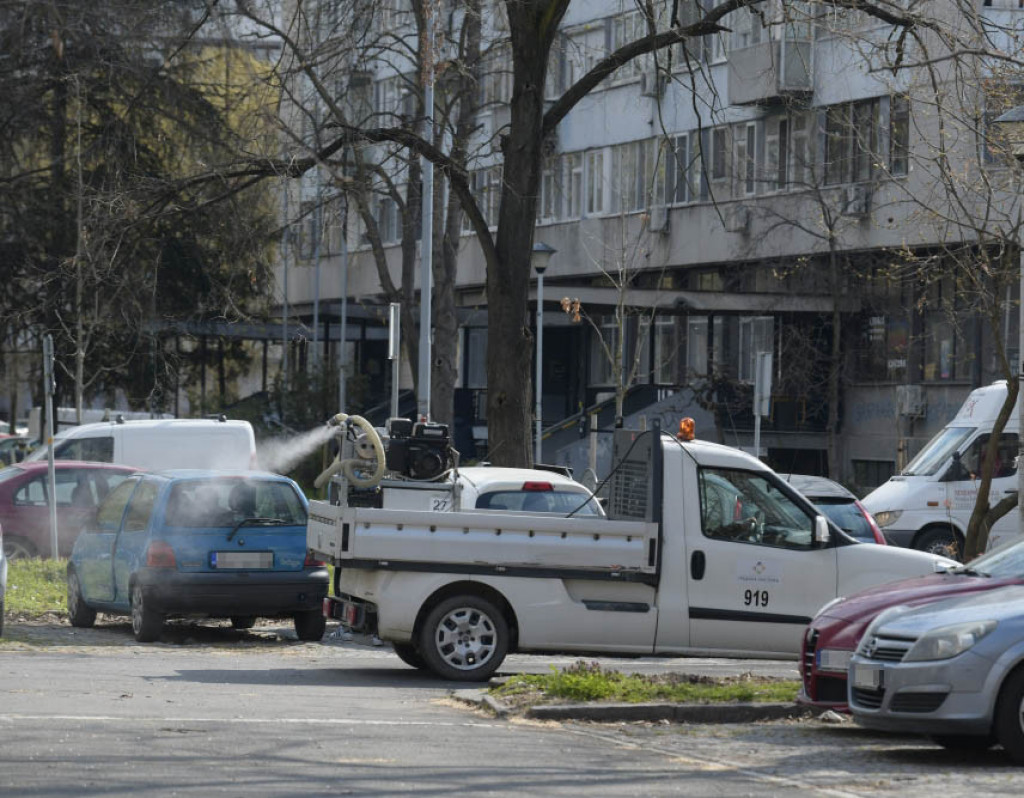 Beograđani, spremite se, počinje sezona komaraca: "Krvopije" će uskoro vrebati iza svakog ćoška